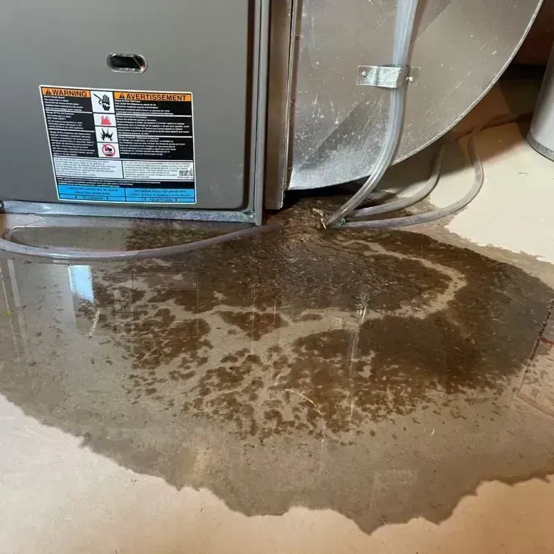 Appliance Leak Cleanup in Salem, WV